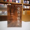 《中国书画鉴定》   周克文   著     中国出版 商品缩略图0