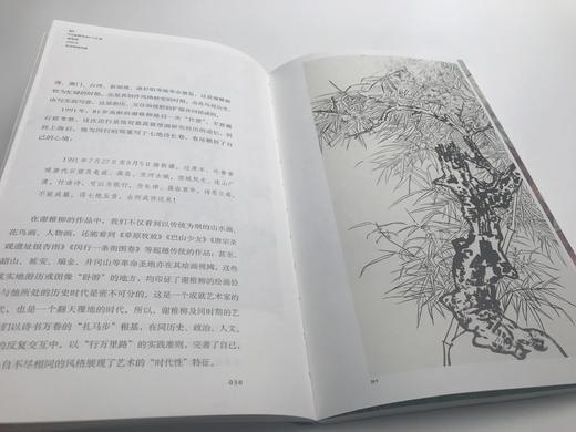巨擘传世——近现代中国画大家 谢稚柳 商品图1