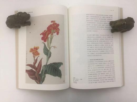 我怎样画工笔花鸟画 商品图1