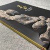 《觉世之路  犍陀罗艺术》 许志平著  藏新艺术有限公司  佛造像  雕塑  高清画册 商品缩略图1