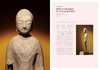 《中国佛教文物宝藏  海会应真》 许志平著  藏新艺术有限公司  佛造像  雕塑  寺庙建筑  高清图册 商品缩略图1