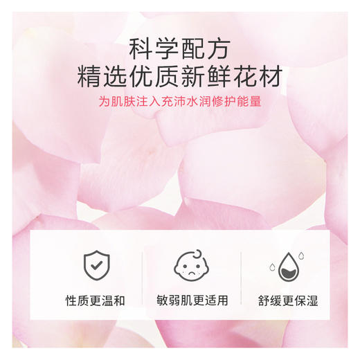 【69元3件、99元5件】玫瑰软膜粉面膜丨 500g 养颜淡斑 商品图1