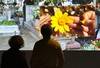 嘉德文库|Re—威尼斯双年展衍生品  明信片 商品缩略图2
