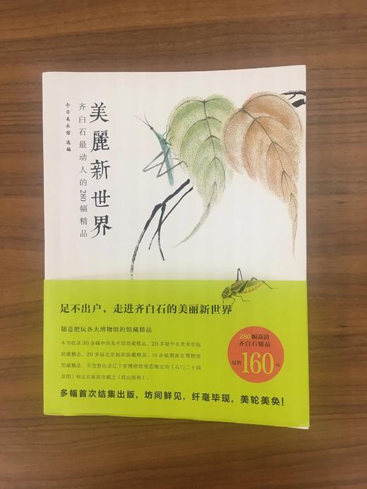美丽新世界——齐白石最动人的280幅精品 商品图0