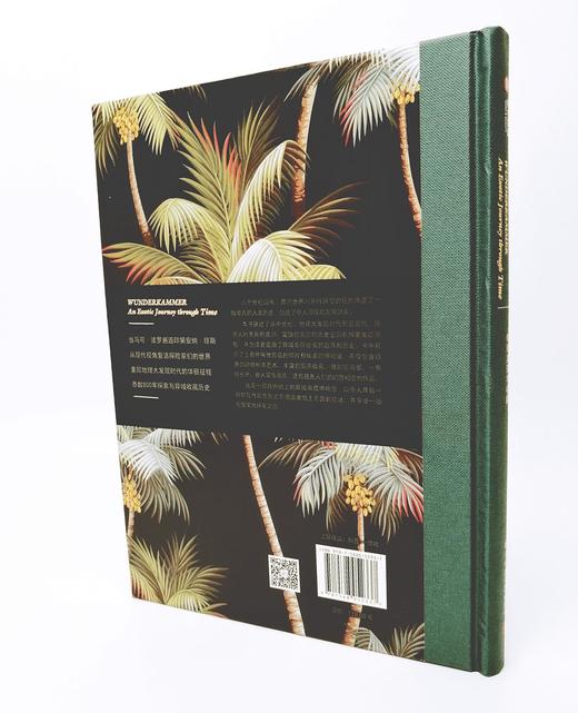 《探险家的异域之旅》 [比] 蒂杰斯·德梅勒麦斯特（Thijs Demeulemeester） 著，丁洁 译 商品图2