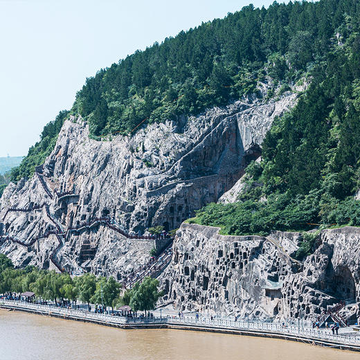 龙门金刚丨河南洛阳·洛阳龙门石窟·3.5小时精讲【大咖说®】 商品图2