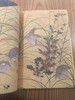 优雅日本艺术：琳派花鸟 商品缩略图5