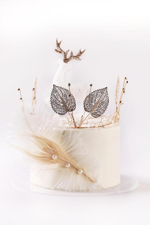 一鹿有你 商品图0