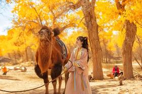  额济纳丨仅存20天，中国TOP1的胡杨林 