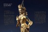 《佛教寺庙宝藏  思量》 许志平著  藏新艺术有限公司  佛教  造像  寺庙  高清画册 商品缩略图8