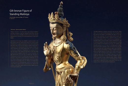 《佛教寺庙宝藏  思量》 许志平著  藏新艺术有限公司  佛教  造像  寺庙  高清画册 商品图8