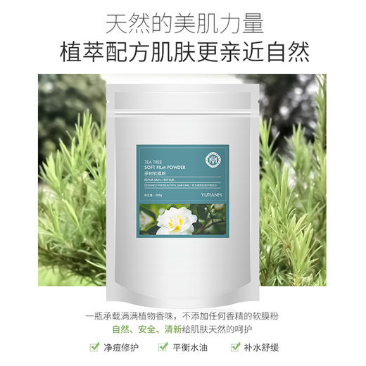 【69元3件、99元5件】茶树软膜粉面膜500g 祛痘祛粉刺闭口净痘修护平衡水油补水舒缓 商品图4