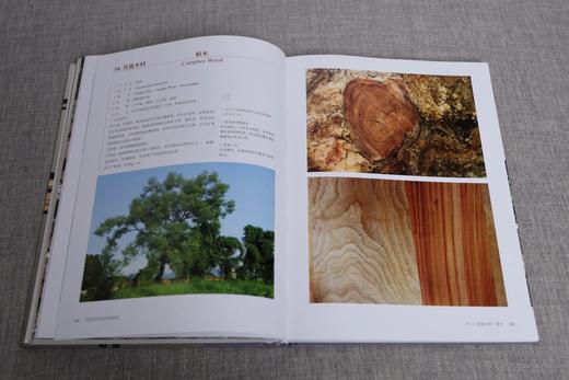 嘉德文库 |《中国古代家具用材图鉴》 商品图6