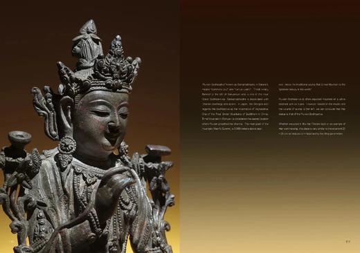 《中国佛教寺庙宝藏  佛印辉宝》许志平著  藏新艺术有限公司  佛造像  寺庙建筑  高清图录  雕塑 商品图1