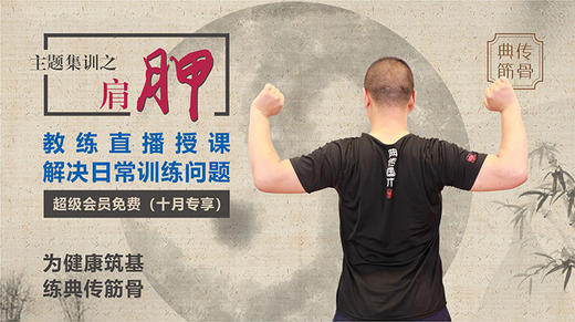 【肩胛训练】集训 商品图0