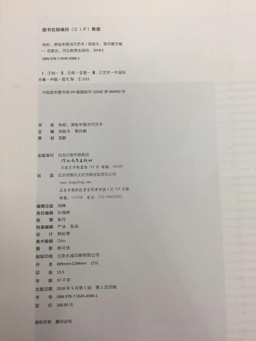 地标--测绘中国当代艺术 郑胜天、斐丹娜主编 河北出版传媒集团 商品图5