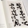 嘉德文库|《百年石鲁》上下卷 2册  石鲁家属编辑权威出版 商品缩略图4