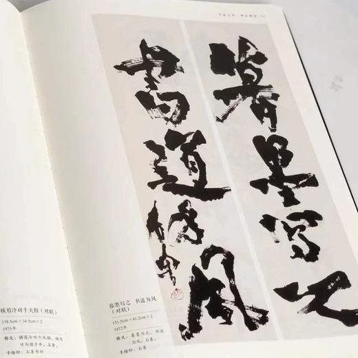 嘉德文库|《百年石鲁》上下卷 2册  石鲁家属编辑权威出版 商品图4