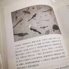 《中国绘画史》 潘天寿    著   上海书画出版社 商品缩略图1