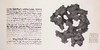 《权杖  怪石  禅与境》 水松石山房主人水墨集  藏新艺术有限公司  怪石  收藏  篆刻  水墨  书法  展览图录 商品缩略图9