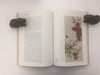 我怎样画工笔花鸟画 商品缩略图2