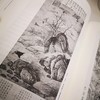 《中国绘画史 文人画之价值》陈师曾  著  上海书画出版社 商品缩略图2