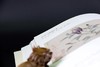 《明代花鸟画珍赏》 商品缩略图5