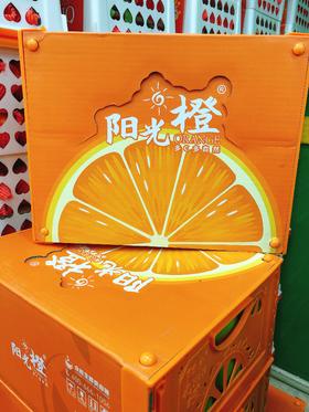 阳光橙一箱（拼团）