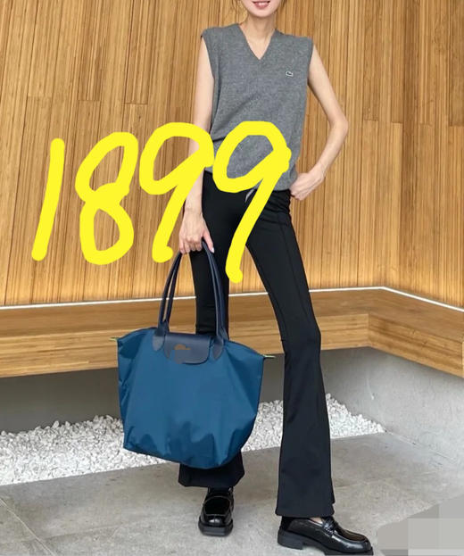 秋冬新款 再生尼龙 环保购物袋 龙虾饺子包 假期限时包邮 商品图1