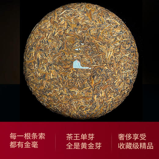 2015【茶王黄金芽】800年古树茶皇，只采头春芽尖，巅峰单芽熟茶！ 商品图2