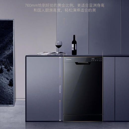 卡萨帝（Casarte）洗碗机CWY9-B98U1（黑） 商品图2