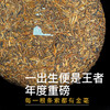 2015【茶王黄金芽】800年古树茶皇，只采头春芽尖，巅峰单芽熟茶！ 商品缩略图0