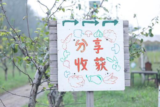 分享收获预约 | 一日农夫 农场参观   * Shared Harvest Farm Reservation 商品图1