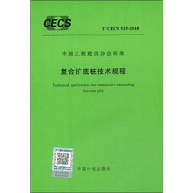 复合扩底桩技术规程 T/CECS 515-2018