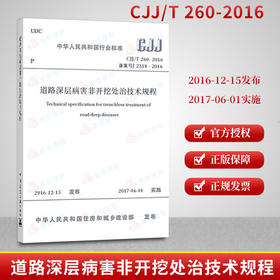 CJJ/T260-2016道路深层病害非开挖处治技术规程