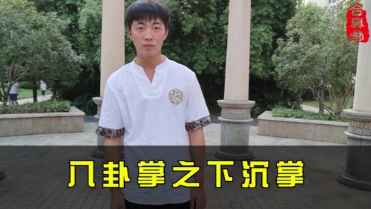 八卦掌之下沉掌 商品图0