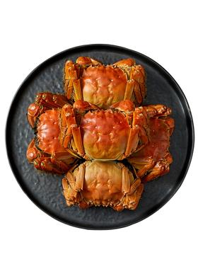 预订88元8只鲜活江苏大闸蟹4公（2.5两）+4母（2两）10.1号提货