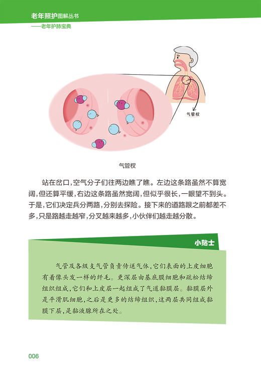 老年照护图解丛书 老年护肺宝典 朱永洁 主编 呼吸系统养生保健 老年人养肺护肺指导手册 人民卫生出版社9787117315029 商品图3