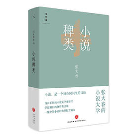 小说稗类-理想国