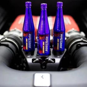 BOOSTane布士丹专业燃油添加剂 美国进口