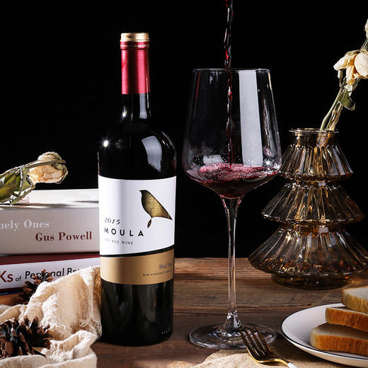 慕拉干红葡萄酒 红酒750ml国产红酒赤霞珠梅洛金鸟干红 商品图0