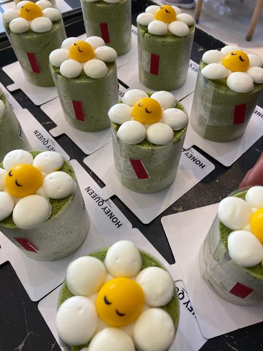 开心果太阳花 商品图0