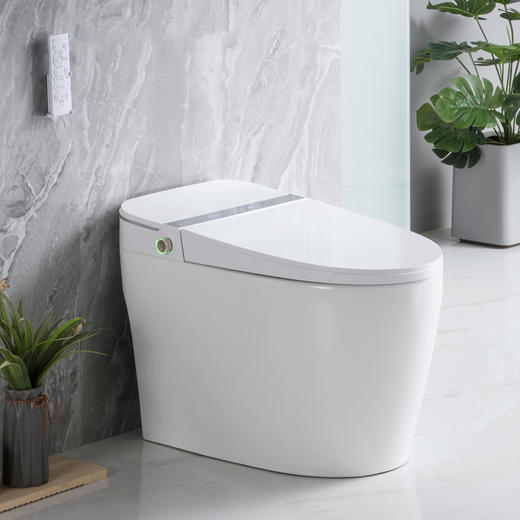 2201L马桶 商品图0