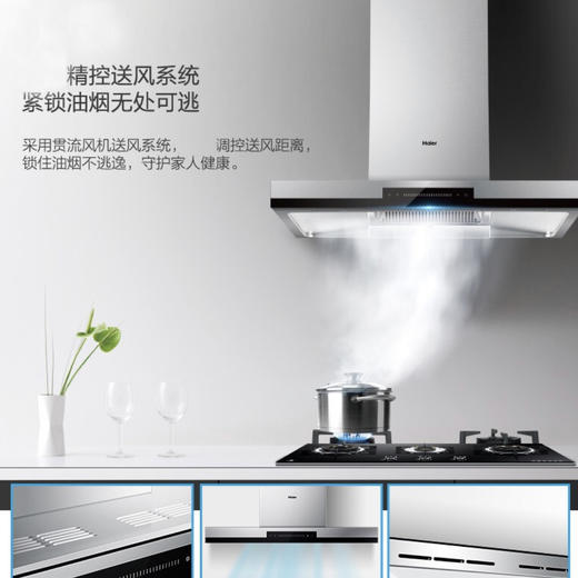 海尔（Haier）烟机 CXW-219-T895U1 商品图4