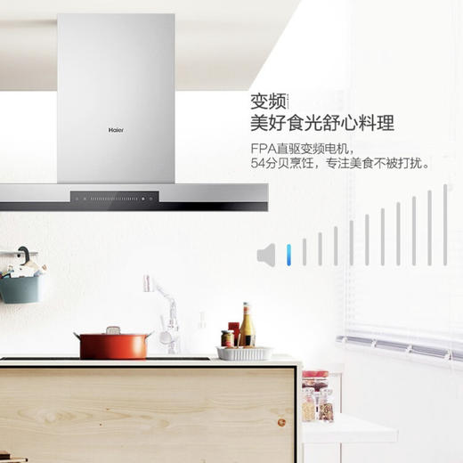 海尔（Haier）烟机 CXW-219-T895U1 商品图2
