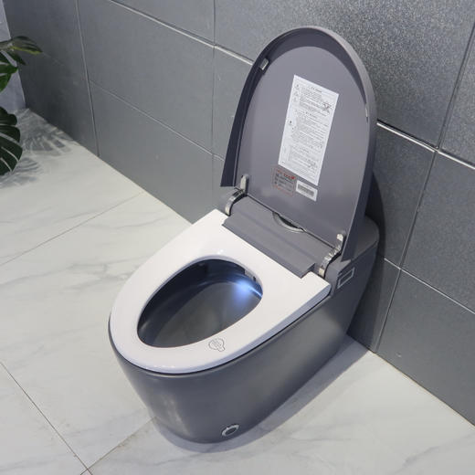 2212E智能马桶-灰色 商品图2