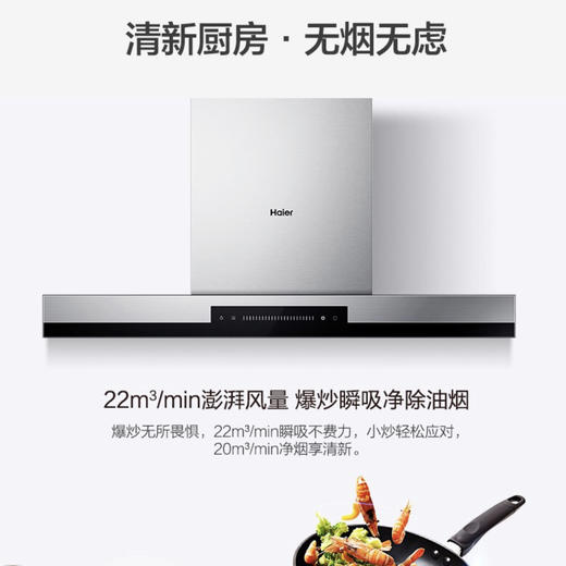 海尔（Haier）烟机 CXW-219-T895U1 商品图5