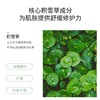 【积雪草面膜】澳莱莉积雪草舒缓修护蚕丝面膜补水保湿滋养干燥奥利官方正品护肤 商品缩略图2