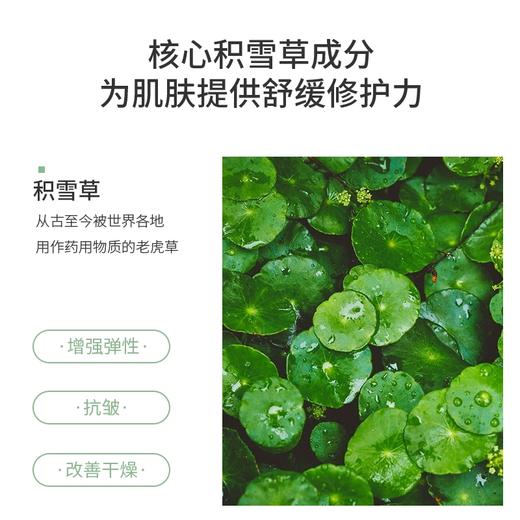 【积雪草面膜】澳莱莉积雪草舒缓修护蚕丝面膜补水保湿滋养干燥奥利官方正品护肤 商品图2