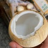 越南奶香椰皇32# 中果7.8/个） 商品缩略图2